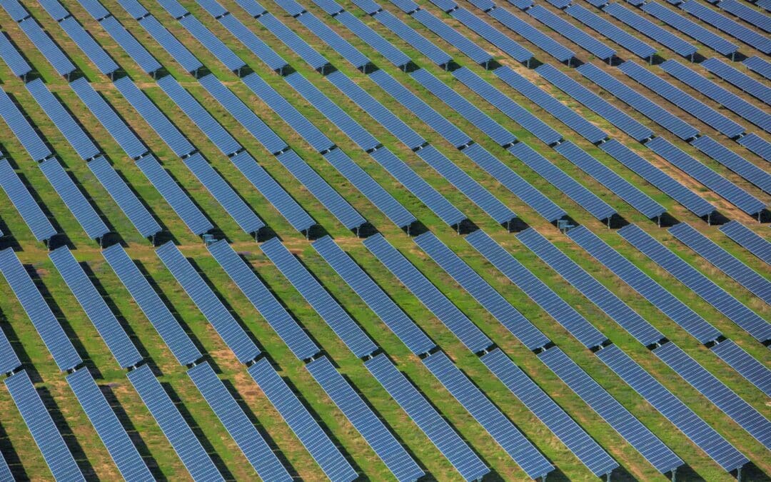 Extending Congratulations to Decmil for 255 MW Sunraysia