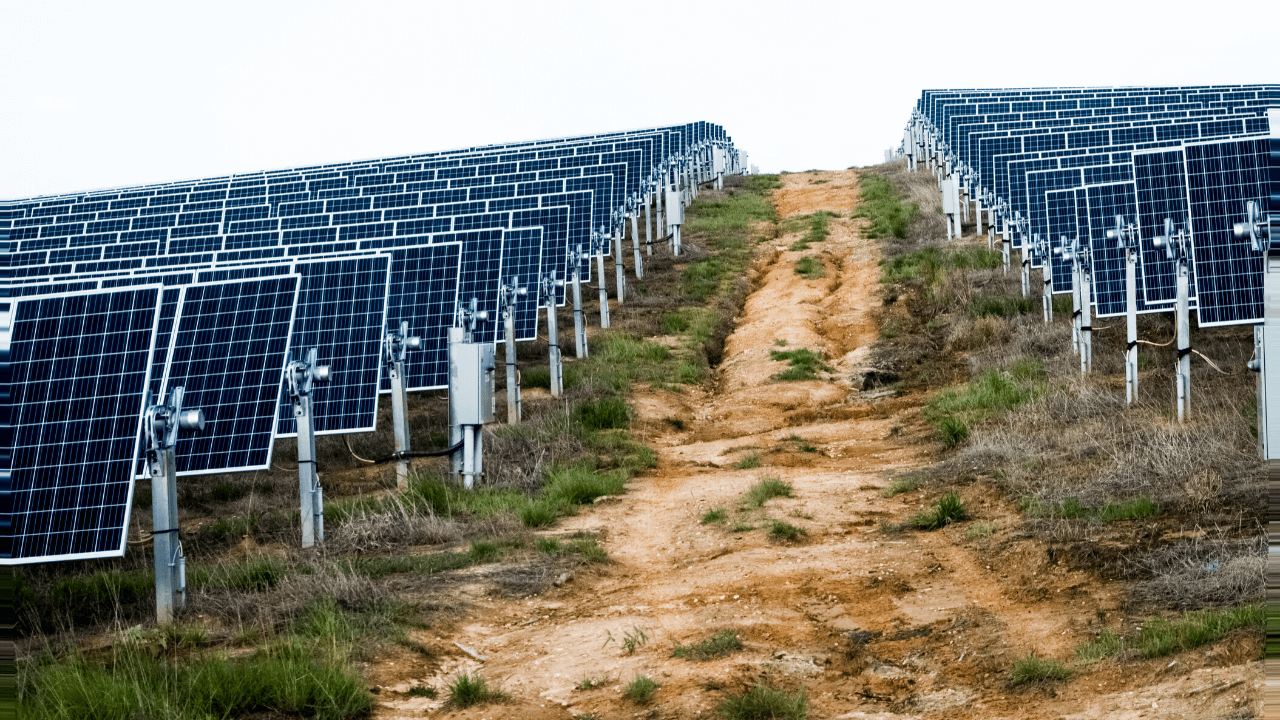 Solar Plants