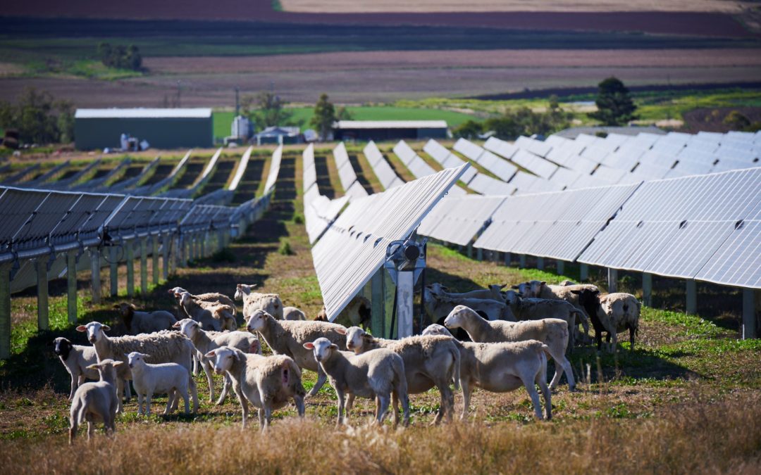 Beyond the Burn Photographic Expedition Launched in Celebration of Utility Solar’s Growth in Australia