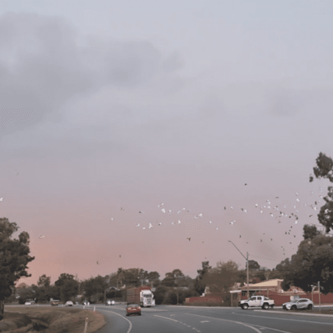 img-on-the-road-330x330@2x