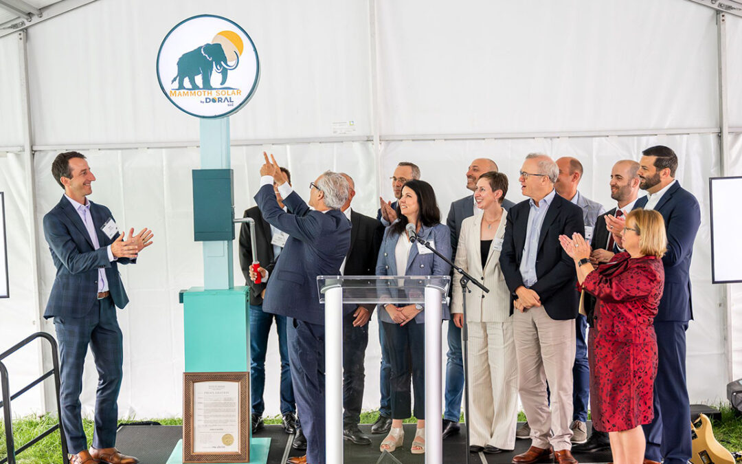 Mammoth North Solar Project: Powering Indiana with Renewables and Innovation