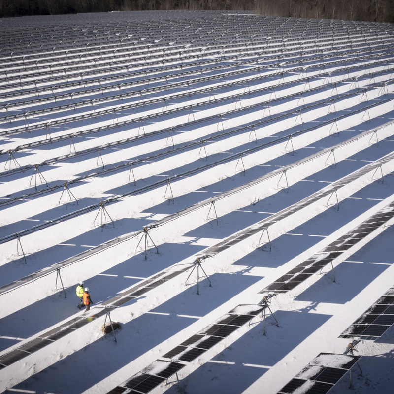 comprehensive-portfolio Certification from the Carbon Trust