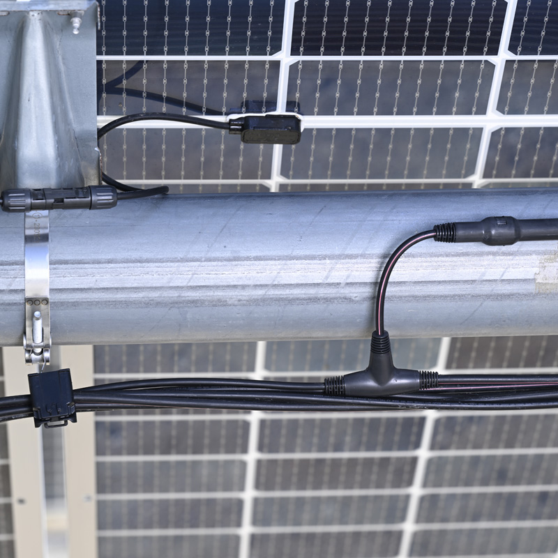 Certification from the Carbon Trust